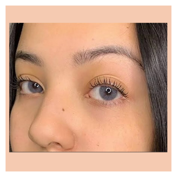 Maldives Gray Formulados