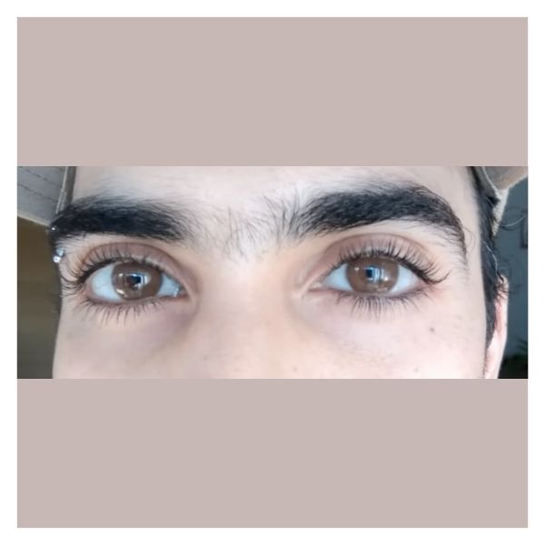 Maldives Milky Brown