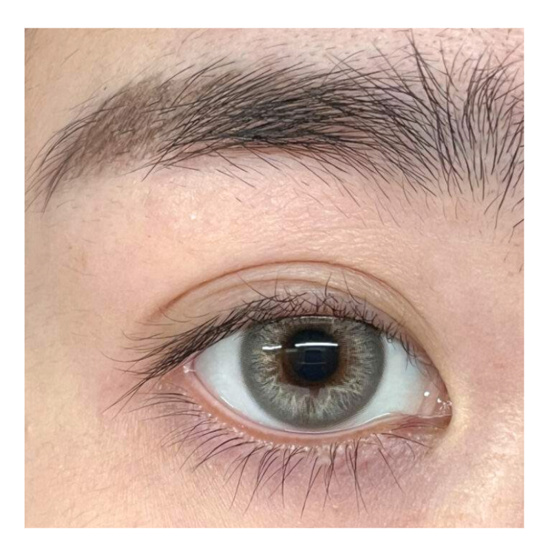 Twiligth Forest Grey