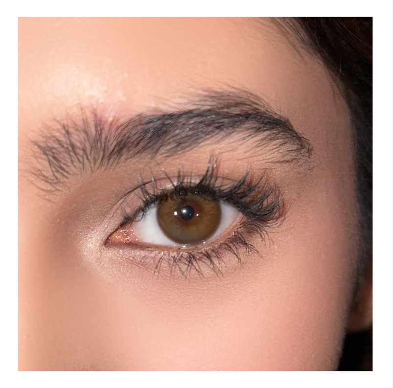 Vision Brown