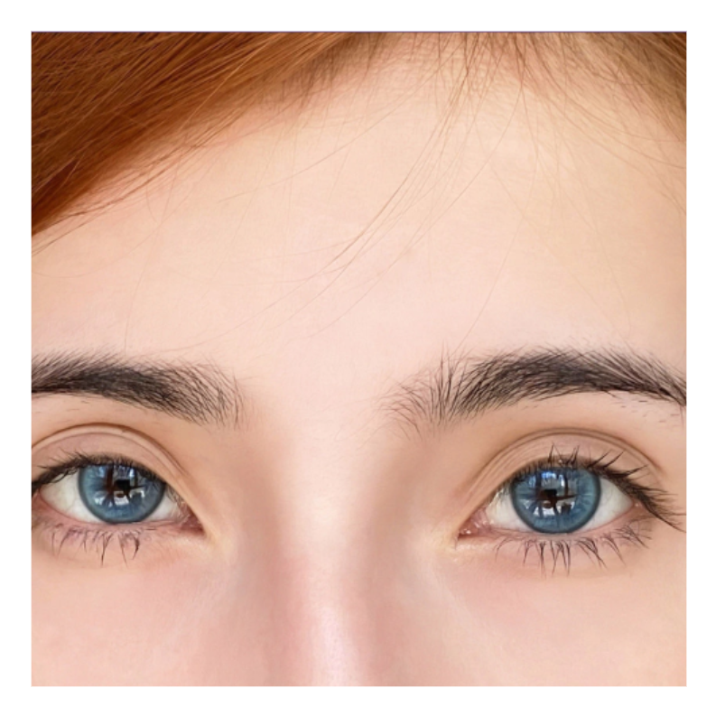 Twiligth Forest Blue