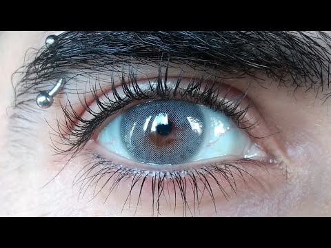 Maldives Gray Formulados