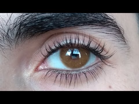 Maldives Brown Formulados